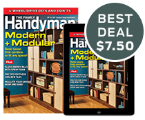 The Family Handyman